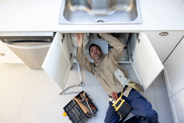  Honolulu, HI Plumbing Pros
